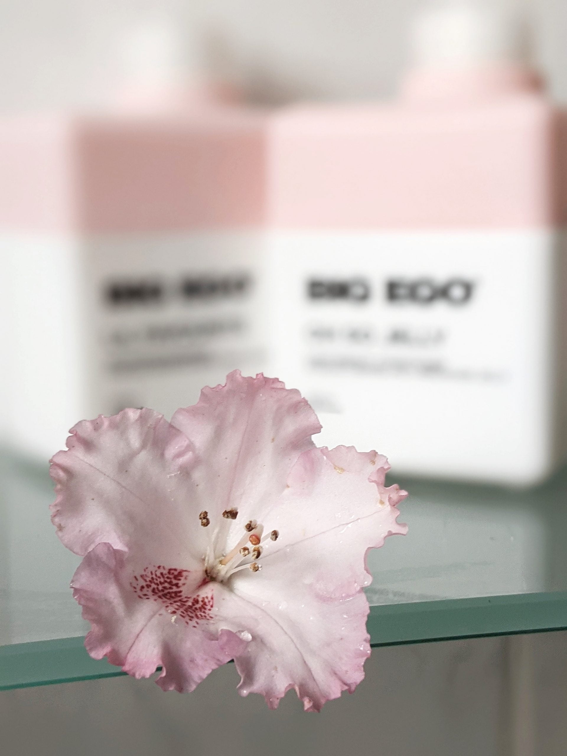 BigEgo Cosmetics