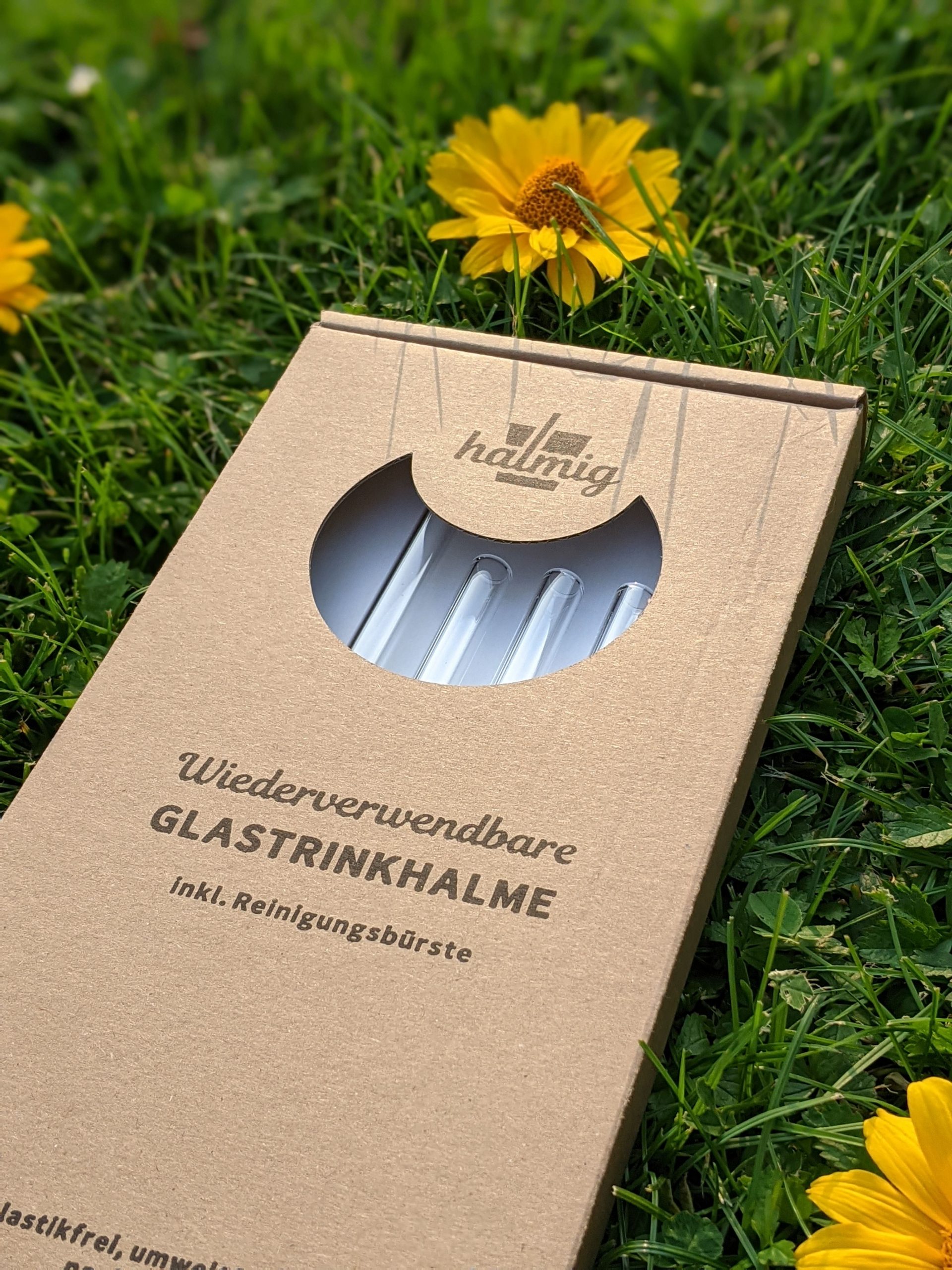 HALMIG Glasstrohhalme 20cm, 4er-Pack